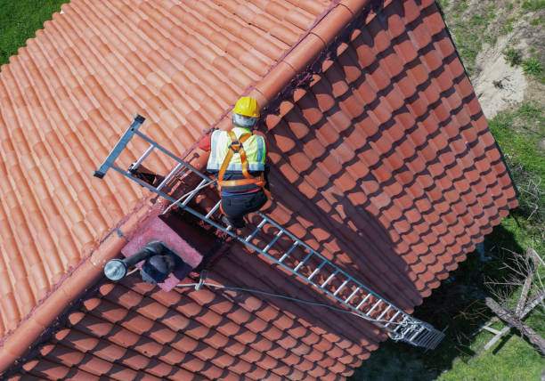 Best Roof Maintenance and Cleaning  in Dixon Lane Meadow Creek, CA